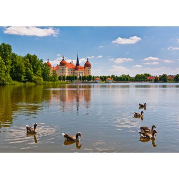 Lais Puzzle - Blick auf Schloss Moritzburg - 100, 200, 500 & 1.000 Teile