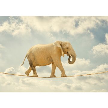 Lais Puzzle - Elefant auf Seil - 100, 200, 500 & 1.000 Teile