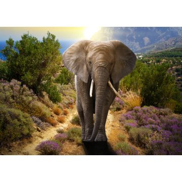 Lais Puzzle - Elefant - 500 & 1.000 Teile