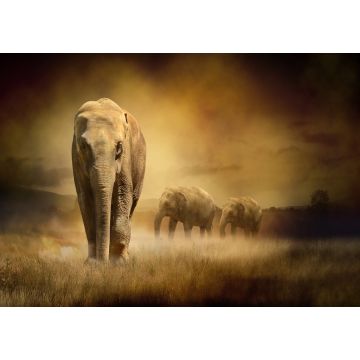 Lais Puzzle - Elefanten im Sonnenuntergang - 1.000 Teile
