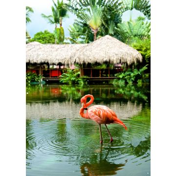 Lais Puzzle - Flamingo - 100, 200, 500 & 1.000 Teile