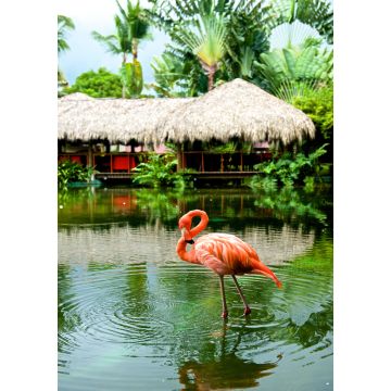 Lais Puzzle - Flamingo - 1.000 Teile