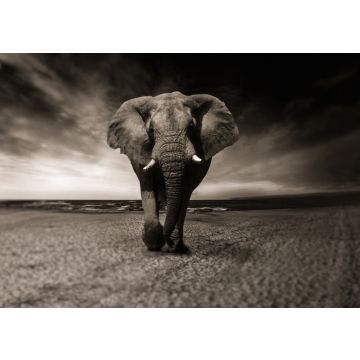 Lais Puzzle - Elefant - 500 & 1.000 Teile