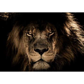 Lais Puzzle - Löwe - 1.000 Teile