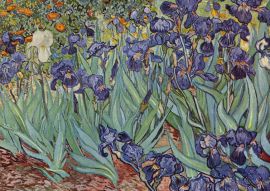 Lais Puzzle - Vincent Willem van Gogh - Stilleben mit Schwertlilien - 500 Teile