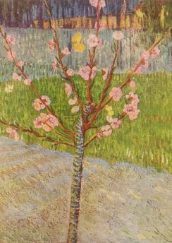 Lais Puzzle - Vincent Willem van Gogh - Blühender Pfirsichbaum - 500 Teile