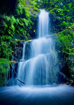 Lais Puzzle - Lush Wasserfall - 100, 200, 500 & 1.000 Teile