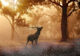 Lais Puzzle - Hirsch - 1.000 Teile