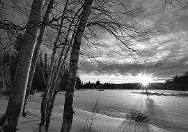 Lais Puzzle - Winterlandschaft schwarz weiß - 1.000 Teile