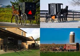 Lais Puzzle - Collage Amish - 1.000 Teile