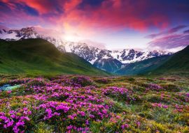 Lais Puzzle - Berglandschaft - 100, 200, 500 & 1.000 Teile