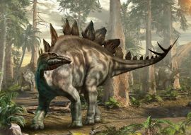 Lais Puzzle - Stegosaurus Dinosaurier - 100, 200, 500 & 1.000 Teile
