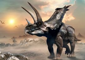 Lais Puzzle - Agujaceratops Dinosaurier - 100, 200, 500 & 1.000 Teile