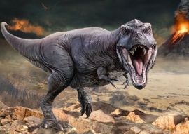 Lais Puzzle - Tyrannosaurus rex - 100, 200, 500 & 1.000 Teile