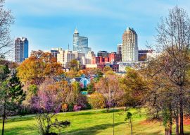 Lais Puzzle - Raleigh, North Carolina - 100, 200, 500 & 1.000 Teile