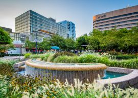 Lais Puzzle - Arlington, Virginia - 100, 200, 500 & 1.000 Teile