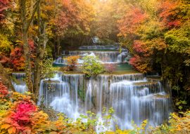 Lais Puzzle - Wasserfall im Wald - 100, 200, 500 & 1.000 Teile
