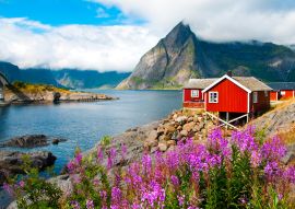 Lais Puzzle - Lofoten, Norwegen - 100, 200, 500 & 1.000 Teile