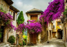 Lais Puzzle - Provence - 100, 200, 500 & 1.000 Teile