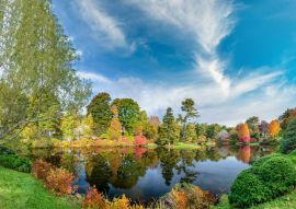 Lais Puzzle - Panoramablick auf Hadlock Pond im Herbst. Drei Farben des Acadia National Park, Maine - 100, 200, 500 & 1.000 Teile