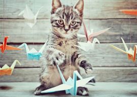 Lais Puzzle - Kleine Katze spielt mit bunten Papierkränen - 100, 200, 500 & 1.000 Teile