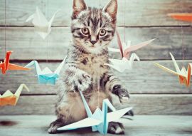 Lais Puzzle - Kleine Katze spielt mit bunten Papierkränen - 500 & 1.000 Teile