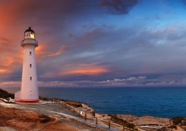 Lais Puzzle - Castle Point Leuchtturm Neuseeland - 500 & 1.000 Teile