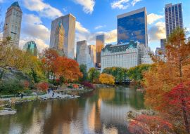 Lais Puzzle - New York Central Park im Herbst - 100, 200, 500 & 1.000 Teile