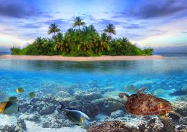 Lais Puzzle - Schildkröte / Wasserschildkröte vor Malediven - 500 & 1.000 Teile