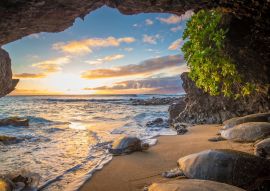 Lais Puzzle - Schildkröten in einer Höhle - 100, 200, 500 & 1.000 Teile