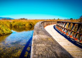 Lais Puzzle - Brücke in Tablas de Daimiel, Ciudad Real, Castilla la Mancha, Spanien - 100, 200, 500 & 1.000 Teile
