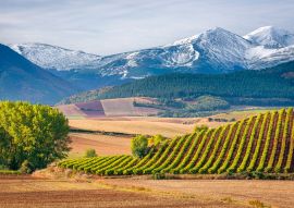 Lais Puzzle - Weinberge mit San Lorenzo Berg als Hintergrund, La Rioja, Spanien - 100, 200, 500 & 1.000 Teile