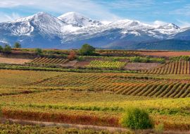Lais Puzzle - Weinberge mit San Lorenzo Berg als Hintergrund, La Rioja, Spanien - 1.000 Teile