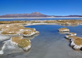 Lais Puzzle - Salzsee bei Surire - 100, 200, 500 & 1.000 Teile