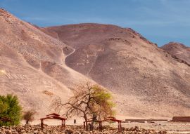 Lais Puzzle - Geoglyphen Pintados Cerros, nahe der Stadt Pica, in der Gemeinde Pozo Almonte, Chile - 100, 200, 500 & 1.000 Teile