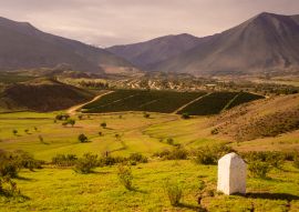 Lais Puzzle - Kakteen, Berge und Täler in der Nähe der Stadt Vicuña Vicuna. Elqui-Tal in Chile - 100, 200, 500 & 1.000 Teile