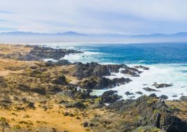 Lais Puzzle - Punta Choros, Chile - 100, 200, 500 & 1.000 Teile