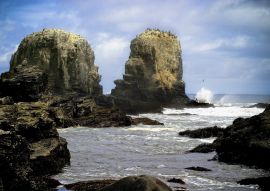 Lais Puzzle - Punta Lobos - Pichilemu - Chile - 100, 200, 500 & 1.000 Teile