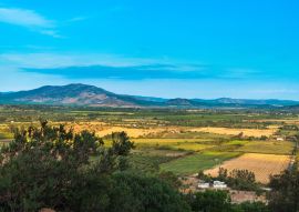 Lais Puzzle - Region del Maule, Chile - 100, 200, 500 & 1.000 Teile