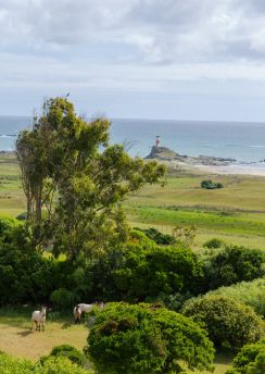 Lais Puzzle - Schöne Landschaft der Küstenlinie in Isla Mocha, bei Lebu, Biobío Region in Chile. - 100, 200, 500 & 1.000 Teile