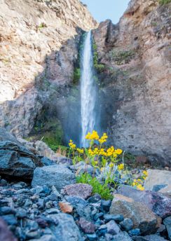 Lais Puzzle - Riesiger Wasserfall in der Wüste. Detail des Wüstenlebens. Antuco Vulkan schwarze Vulkanwüste. Blühende Blumen, Bäume und Steine in der Nähe des Baches. - 100, 200, 500 & 1.000 Teile