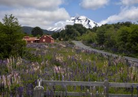 Lais Puzzle - Eintritt in das Corralco Ski Center im Malalcahuello National Reserve, Region Araucanía, Chile - 100, 200, 500 & 1.000 Teile