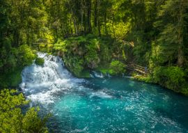 Lais Puzzle - Ojos del Caburgua Wasserfall, Pucon, Araucania, Chile. Chilenisches Patagonien - 100, 200, 500 & 1.000 Teile