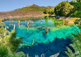 Lais Puzzle - Lago Arcoiris bei Conguillio N.P. (Chile) - 100, 200, 500 & 1.000 Teile
