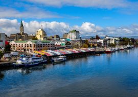 Lais Puzzle - Valdivia am Fluss, Chile - 100, 200, 500 & 1.000 Teile