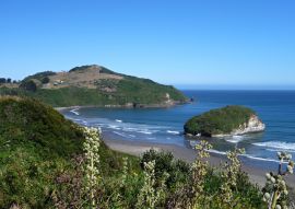 Lais Puzzle - Pinguin Reservierung Islotes de Punihuil auf Chiloe Island in Chile - 100, 200, 500 & 1.000 Teile
