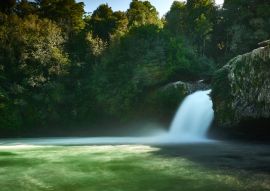 Lais Puzzle - Puyehue Nationalpark, Chile - 100, 200, 500 & 1.000 Teile