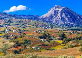 Lais Puzzle - Bunter Teppich der Weinberge in den Herbstfarben. Benevento, Italien - 100, 200, 500 & 1.000 Teile