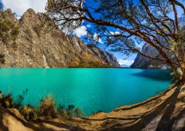 Lais Puzzle - Quenoal-Bäume im Llanganuco-See, in der weißen Bergkette in der Nähe des Huascaran-Berges, in Yungay, Huaraz, Ancash, Peru - 100, 200, 500 & 1.000 Teile