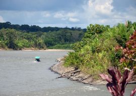 Lais Puzzle - Manu Mutter des Flusses Pérou - 100, 200, 500 & 1.000 Teile